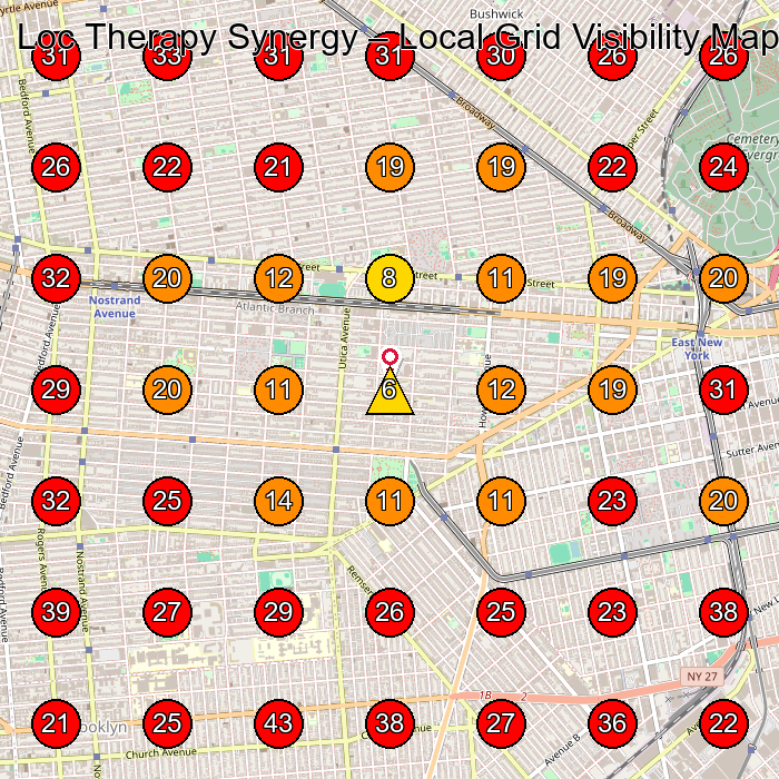 Loc Therapy Synergy GeoGrid visibility map for Hair Salon in Brooklyn